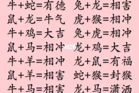 生肖算命婚姻，十二生肖什么属相和龙最配