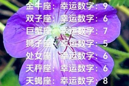 星座幸运数字真的有效吗