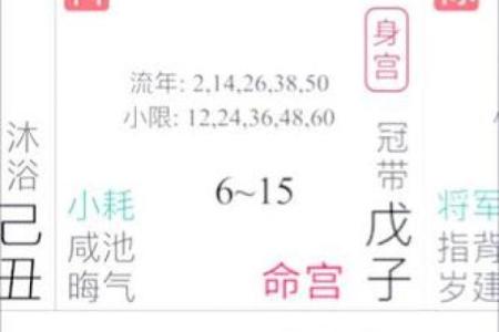 紫薇斗数详解软件