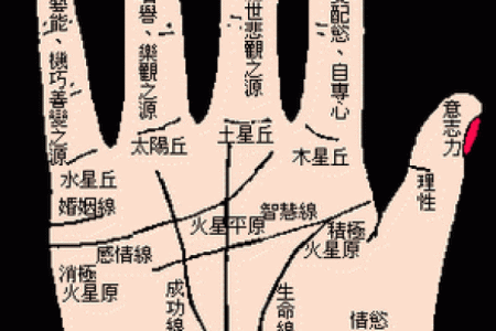 看手相算命图解：掌线