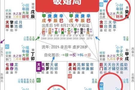 紫微斗数案例13姻缘：夫妻宫无主星，桃花太旺伤婚姻的命盘