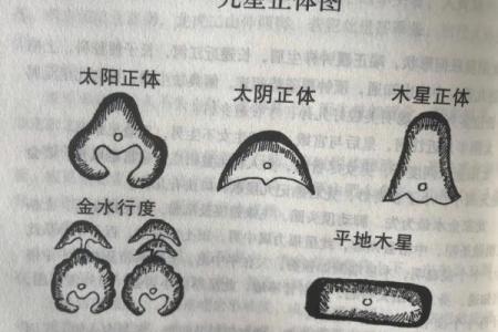 事关后代，墓地风水龙穴砂水向