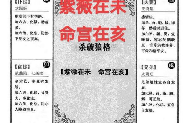 紫薇斗数将军在疾恶
