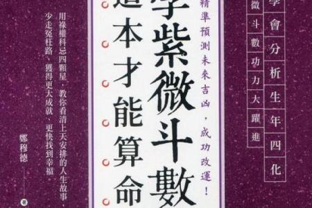 紫薇命理斗数app