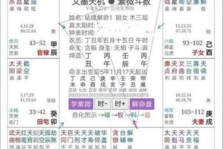 紫薇斗数排盘姓名