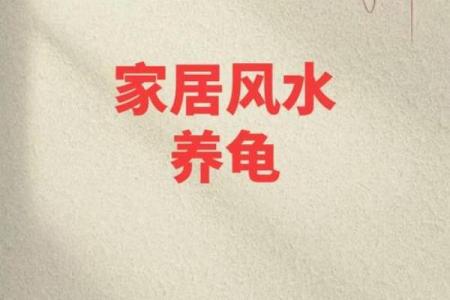 风水的方位_乌龟代表哪个方向