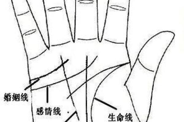 罕见的掌纹手相算命和图解