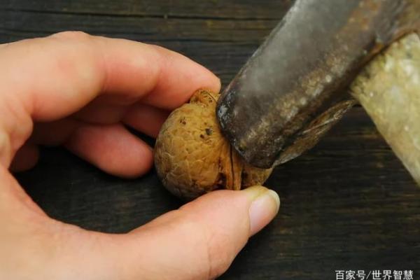 八字真硬！老太家中“核桃锤”竟是沉睡手榴弹，二十余年安然无恙