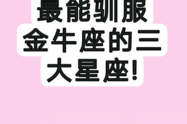 金牛座可以和哪个星座成为闺蜜