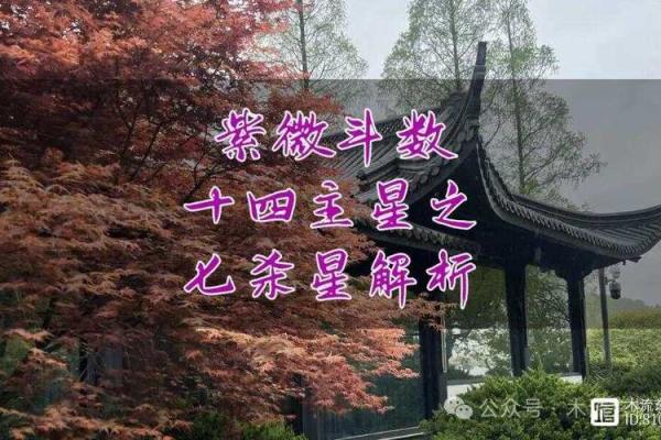 紫薇星七杀星在命宫