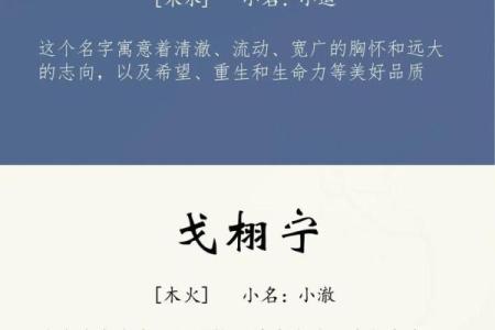 2019年6月6号卯时出生的男孩起名方法姓名