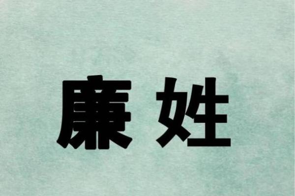 廉姓女孩名字大全-廉姓女孩起名字大全-廉姓名字大全姓名