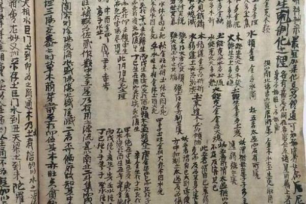 紫薇斗数与数术