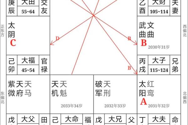 紫薇斗数灾