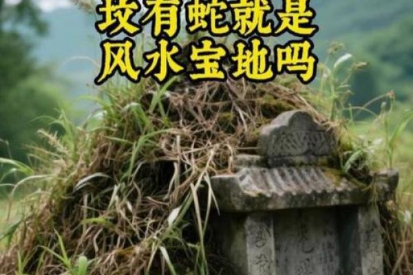 梦见祖改风水