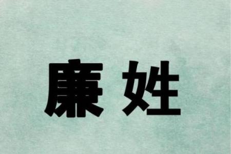 廉姓女孩名字大全-廉姓女孩起名字大全-廉姓名字大全姓名