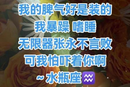 十二月二十九是什么星座？解读水瓶座性格特点与爱情观