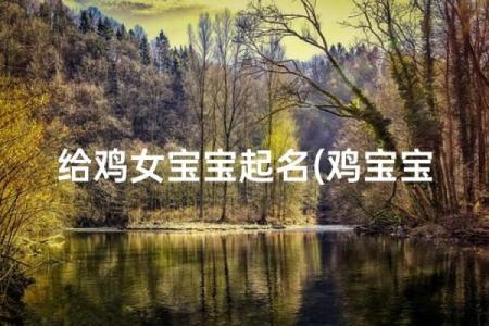 给早上7点出生的属鸡男孩起名适合的字姓名