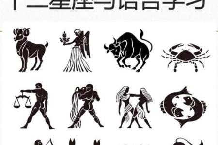上网假装学习，这些星座技术高超