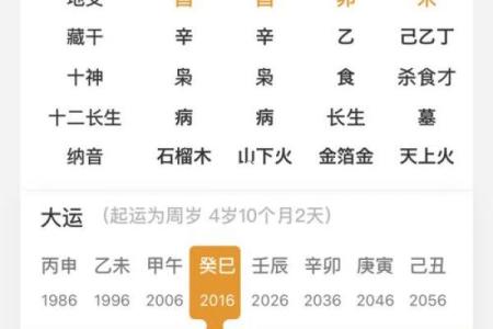 八字算命软件