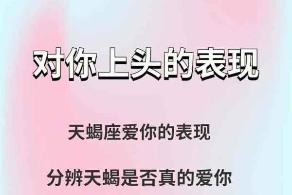 什么星座能毁掉天蝎