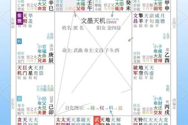 紫薇斗数紫薇疾厄