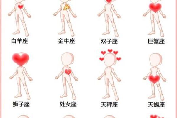 十二星座里分别有哪些