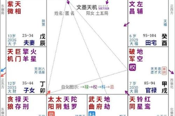 孝顺的紫薇斗数