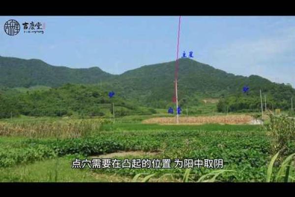 风水的水_房子南面有山北面有水好吗