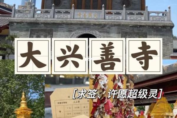 大兴善寺灵签多长时间一次
