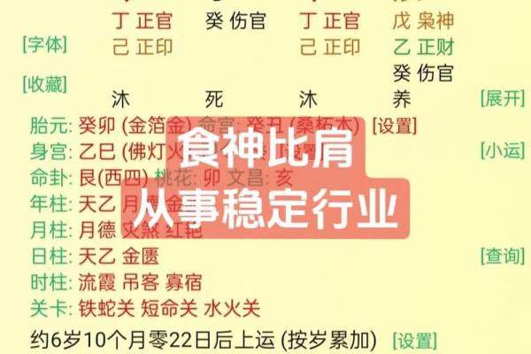 八字命神
