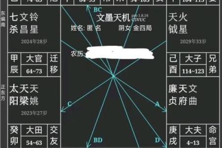 紫微斗数弱智 紫微斗数看智力？
