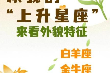 12上升星座如何拥有舒适人生？这个星座的自我关爱能力，建议好好学习！