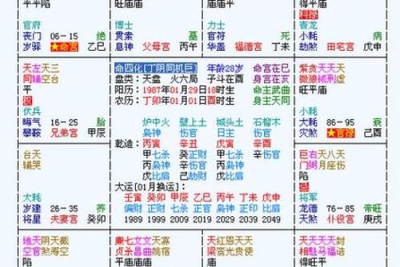 紫薇斗数appios版