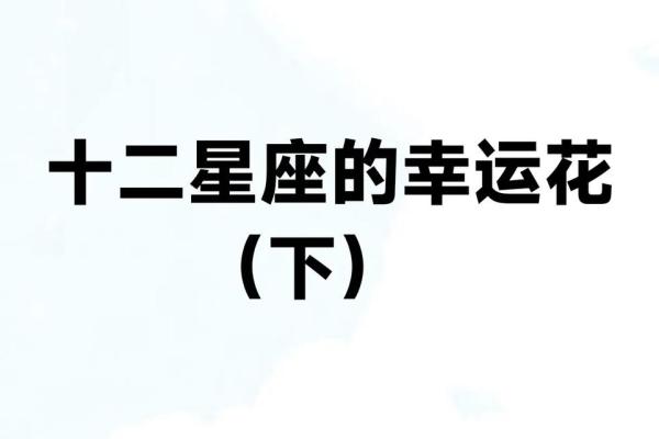 十二星座什么花适合自己
