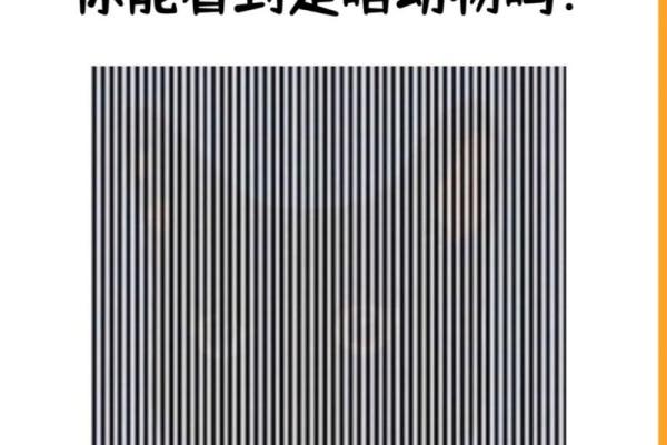 根据名字测试你是什么动物  本命动物测试