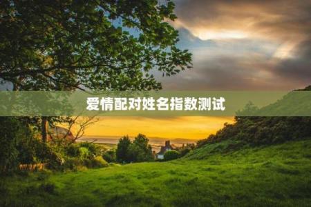 姓名配对爱情测试免费 姓名配对测试爱情免费测试？