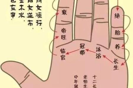 文王八卦算命,算事业免费最准