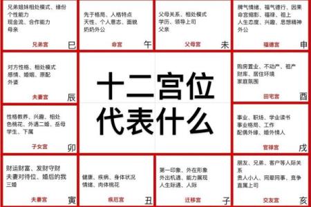 紫微斗数紫薇性格