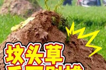 风水观念坟有四不迁是什么意思代表什么