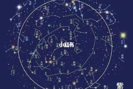 紫微斗数流年走文昌运 流年走文昌运考公？