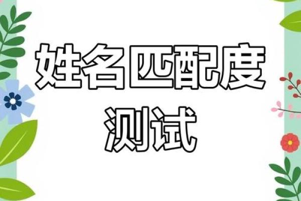 测试姓名配对素材库 姓名配对测试软件？