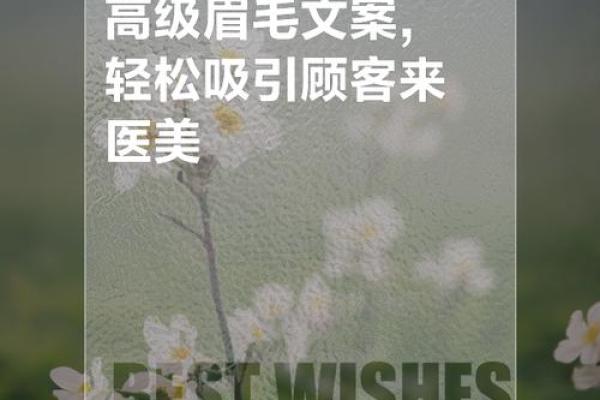 男士风水眉，男士风水眉文案