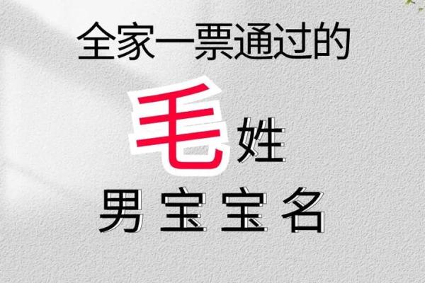 茅姓男孩名字大全-茅姓男孩起名字大全-茅姓名字大全姓名