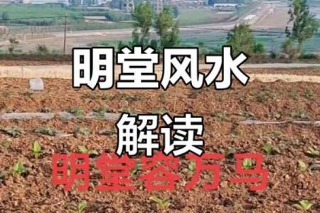 坟墓风水，把握这些后代定富贵