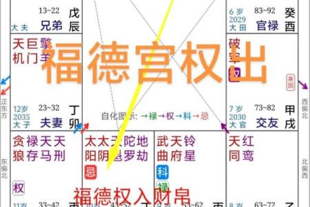 紫微斗数诸星落诸宫之：巨门星福德宫详解