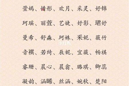 早上出生的属鼠男孩取名适用的字姓名