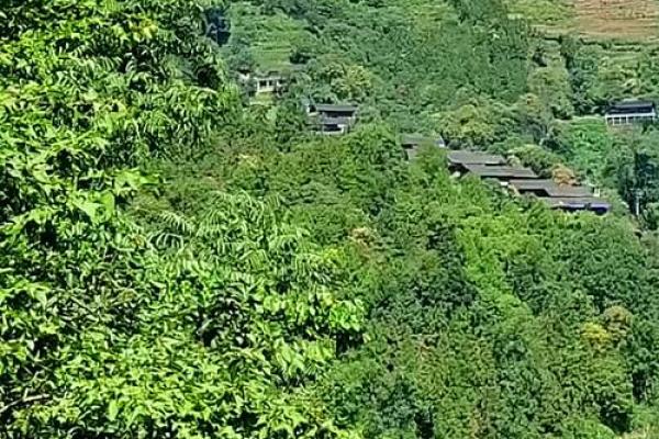 断祖坟吉凶，如何看风水不求人