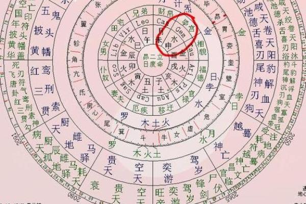 紫微斗数看事业／学业