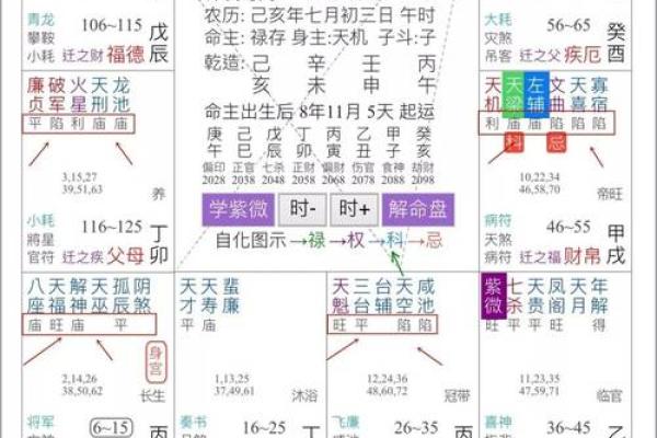紫微斗数之事业宫与诸星，七杀星在事业宫是什么意思？